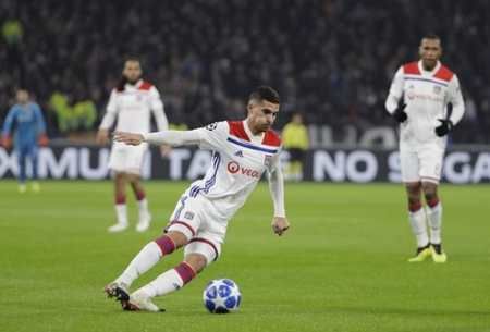 界杯的成功 界杯的成功